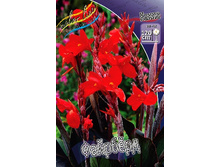 76,9���. ����� (�����) �������(�������� ���� �� 1 ��., ����������� ����� 1��.).jpg