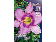 163,4���. �������� ������� ���(�������� ���� �� 1 ��., ����������� ����� 1��.).jpg