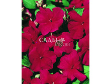 ��������� ������ ���������� 10�� 35,5.jpg