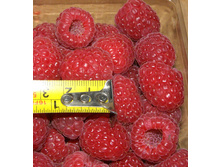 167���. ������ ����� ����.jpg