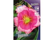 138,6���. �������� ���� �������(�������� ���� �� 1 ��., ����������� ����� 1��.).jpg