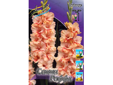 9,83���. ��������� ����� �������(���������� ������ ������ ���������� �� 8 ��.).jpg