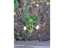20151006 063243.jpg