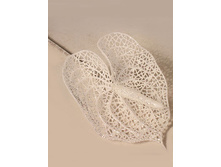 11/0011P ��������