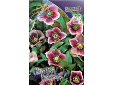 199,9���. �������� ������� �������(�������� ���� �� 1 ��., ����������� ����� 1��.).jpg