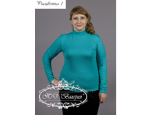 ������� ���. (����) 2/13-2060�