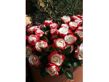 ��������� 220���. (����� �������� ��� 20��.).jpg