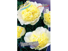 246,4���. ���� ���������(�������� ���� �� 1 ��., ����������� ����� 1��.).jpg