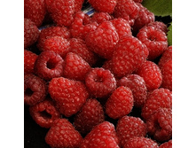 163���. ������ �����.jpg