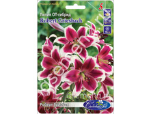 ������ �������.jpg