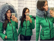 ������ � ����� ����� ������ �� ������ 8508 green- 2150 ���.