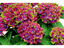 185���. ��������� �������������� ����� ���������.gif