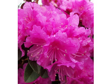 301���. ����������� ��������� �. ���. �. ����.jpg