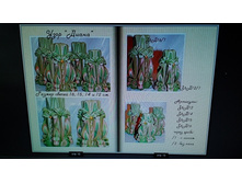 JPEG 20150925 124239 -664017948.jpg