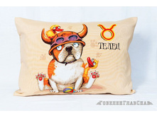 �������� ����� - ����������� ���������.jpg