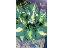 196,6���. ����� ���� ����(�������� ���� �� 1 ��., ����������� ����� 1��.).jpg