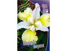 65,15���. ���� ��������� ������ ������(�������� ���� �� 2 ��., ����������� ����� 1��.).jpg