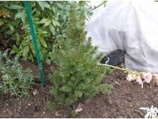 ��� ������.jpg