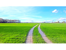 20151004 142813 windows.jpg