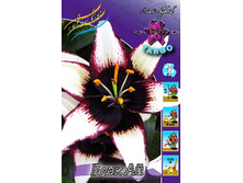 44,08���. ����� ���� ��(�������� ���� �� 5 ��., ����������� ����� 1��.).jpg