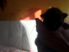 2015-08-12 16.52.13 HDR.jpg