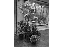 ����������� 017.jpg