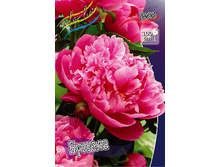 204,9���. ���� ������(�������� ���� �� 1 ��., ����������� ����� 1��.).jpg