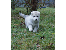 ������� №1