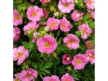 �������� ���� ����-122.jpg