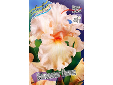 95,3���. ���� ���������� ������� ����(�������� ���� �� 2 ��., ����������� ����� 1��.).jpg