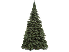 ��� ������������� ��������� 5 � ������� 41975,4.jpg