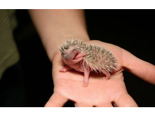 ��������� ���� ���������� ����.jpg