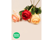 401/0462� ����