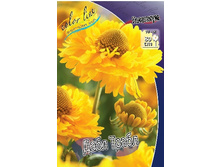 95,4���. �������� ���� �����(�������� ���� �� 1 ��., ����������� ����� 1��.).jpg