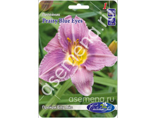 ������ ��� ���.jpg