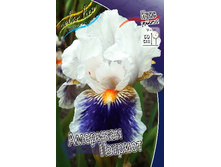 95,3���. ���� ���������� �������� �������(�������� ���� �� 2 ��., ����������� ����� 1��.).jpg