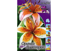 33,08���. ����� ����� ��������(�������� ���� �� 5 ��., ����������� ����� 1��.).jpg