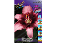 22,76���. ����� ������(�������� ���� �� 7 ��., ����������� ����� 1��.).jpg