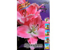 37,4���. ����� �������(�������� ���� �� 5 ��., ����������� ����� 1��.).jpg