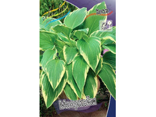 51,85���. ����� ��������(�������� ���� �� 2 ��., ����������� ����� 1��.).jpg