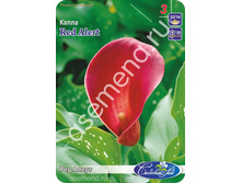 ��� �����.jpg