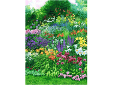 �����- ����������� �����.jpg