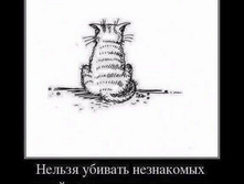 ������ ������� ���������� ����� - ����� � ��� ����� ���� ���� ...