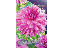 84,8���. �������� ������� ���(�������� ���� �� 1 ��., ����������� ����� 1��.).jpg