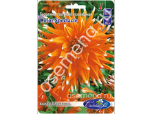 ����� ���������.jpg