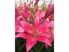 21,03���. ����� ����(�������� ���� �� 7 ��., ����������� ����� 1��.).jpg