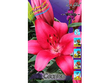 23,63���. ����� ������(�������� ���� �� 7 ��., ����������� ����� 1��.).jpg