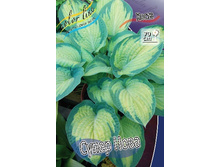 196,6���. ����� ����� ����(�������� ���� �� 1 ��., ����������� ����� 1��.).jpg