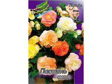 54,17���. ������� ������� �����(�������� ���� �� 3 ��., ����������� ����� 1��.).jpg