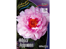 1589,9���. ���� ���� ������� (���)(�������� ���� �� 1 ��., ����������� ����� 1��.).jpg